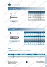 Bolt DIN 1444B DIN 1434 DIN 1435, DIN 1436 ISO 2341 foto