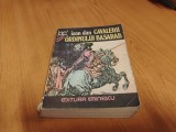 Cavalerii ordinului Basarab