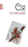 Ce hacuiala! - Jonathan Coe