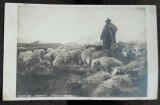 Carte postala, Salon 1905, Bonnefoy, Letpoile du Berger