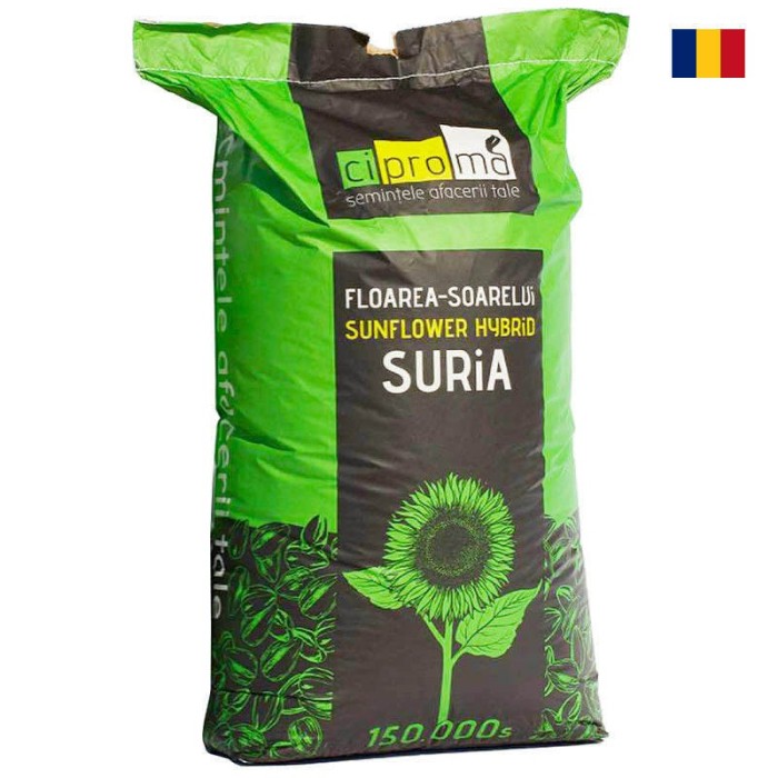 Floarea soarelui Suria F1 150.000 seminte