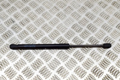 Amortizor capota st&amp;acirc;nga față TESLA MODEL 3 2021 OEM: 1091472-00-B | 20806141 foto