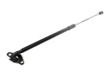 Amortizor haion st&acirc;nga AUDI Q5 FY 2016 OEM: 80A827552C,80A827552C 10009642