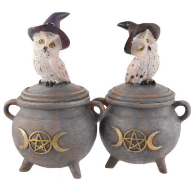 Cutie bijuterii bufnita Witch snow owl 15 cm foto