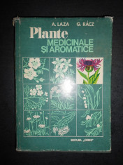 A. LAZA - PLANTE MEDICINALE SI AROMATICE foto