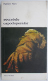 Secretele capodoperelor &ndash; Madeleine Hours