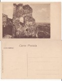 Cetatea Neamtului (Neamt)-vedere