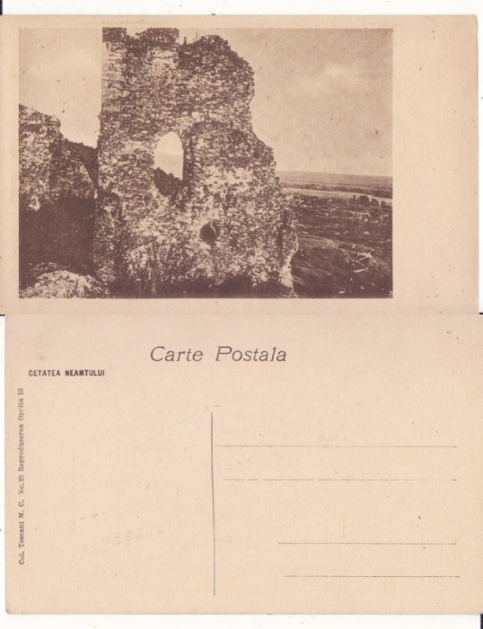 Cetatea Neamtului (Neamt)-vedere