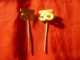 2 Insigne aniversare - 35 - metal auriu ,h=1,1cm