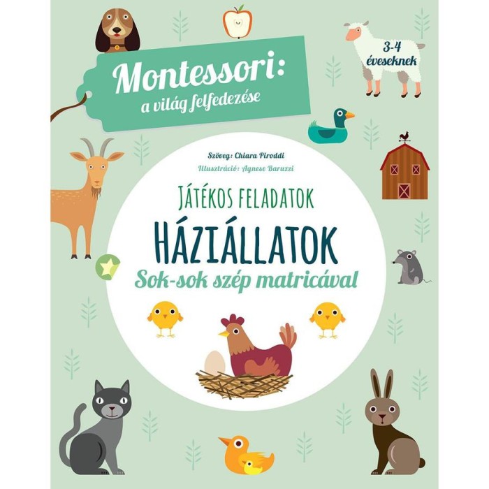 H&aacute;zi&aacute;llatok - A vil&aacute;g felfedez&eacute;se - J&aacute;t&eacute;kos feladatok sok-sok sz&eacute;p matric&aacute;val - Chiara Piroddi