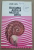 (C492) JEAN LUPU - EDUCAREA AUZULUI MUZICAL DIFICIL