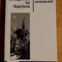 Invingatorul lui Napoleon- D. D. Patrascu