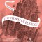 The Storm of Echoes: Book Four of the Mirror Visitor Quartet