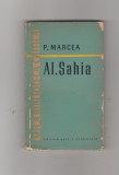 bnk ant P Marcea - Al Sahia