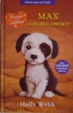 Max, catelusul disparut &ndash; Holly Webb