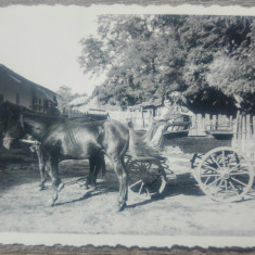 Copii in caruta, perioada interbelica// fotografie