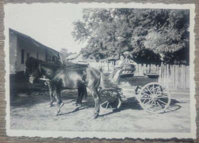 Copii in caruta, perioada interbelica// fotografie foto