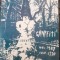 &rdquo;Graffiti (dec 1989 - ian 1990)&rdquo;, Muzeul Taranului Roman 1999 / etnologie urbana