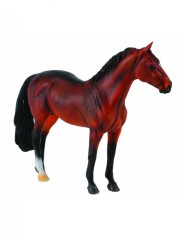 Armasar Hanoverian - Collecta foto