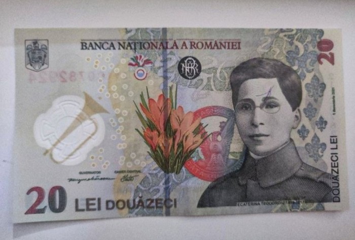 Bancnotă Ecaterina Teodoroiu