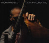 From Darkness | Avishai Cohen Trio, Jazz