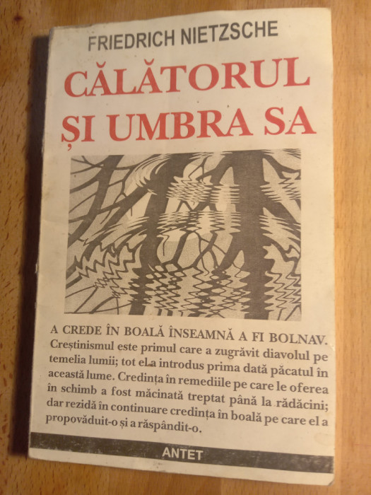 Friedrich Nietzsche călătorul și umbra sa