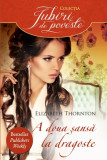 A doua sansa la dragoste - Elizabeth Thornton