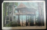Carte postala, Sinaia, Cuibul Printesei, perioada interbelica