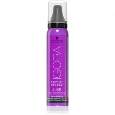 Schwarzkopf Professional IGORA Expert Mousse vopsea de par sub forma de spuma pentru păr culoare 4-68 Medium Brown Chocolate Red 100 ml