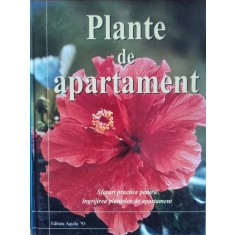 Plante De Apartament - Jane Courtier , G223