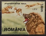 BC503, Romania 2000, timbru fauna, feline