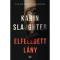 Elfeledett l&aacute;ny - Karin Slaughter