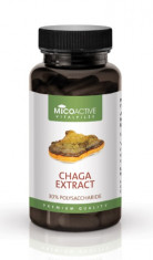 Micoactive Chaga Extract ? Energia de zi cu zi! foto