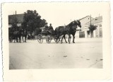 P1391 Militari rom&acirc;ni &icirc;n trăsură, județul Cluj, anii 1930