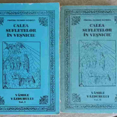 CALEA SUFLETELOR IN VESNICIE. VAMILE VAZDUHULUI VOL.1-2-PROTOS. NICODIM MANDITA