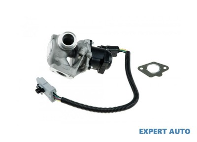 Egr Ford Focus C-Max (2003-2007)[DM2] #1 foto