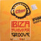DJ Vasile &amp; DJ Mike ?? Ibiza Summer Groove (1 CD)