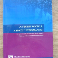 MIRCEA BRIE - O ISTORIE SOCIALA A SPATIULUI ROMANESC - 2005