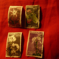 Serie mica Somalia Italiana 1955 - Flora , 4 valori stampilate