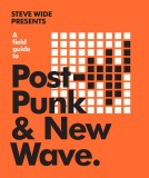 A Field Guide to Post-Punk &amp; New Wave | Steve Wide