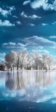 Husa Personalizata ALLVIEW A5 Lite Winter