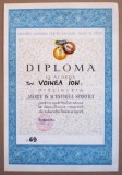 O.217 INSIGNA + DIPLOMA ROMANIA CONSILIUL NATIONAL PT EDUCATIE FIZICA SI SPORT MERITE IN ACTIVITATEA SPORTIVA 1969