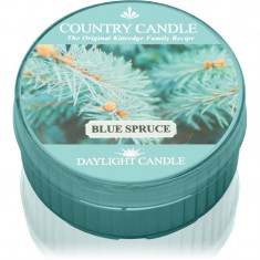 Country Candle Blue Spruce lumânare 42 g