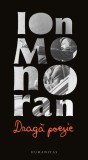 Draga poezie &ndash; Ioan Monoran