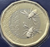 1 pound 2023 Marea Britanie, Honeybees, Charles al-III-lea, Tudor crown privy mark, Brilliant uncirculated, Coincard, km#2447