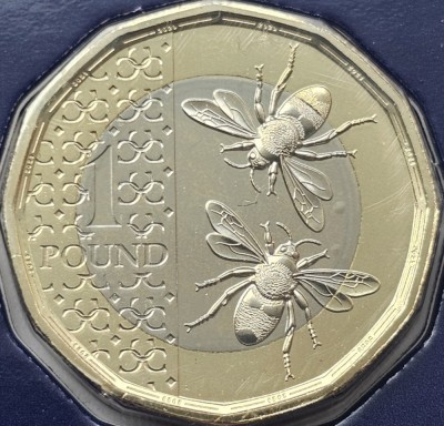 1 pound 2023 Marea Britanie, Honeybees, Charles al-III-lea, Tudor crown privy mark, Brilliant uncirculated, Coincard, km#2447 foto