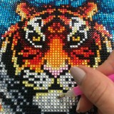 Kit Creativ Diamante Tigru