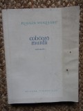 COBOARA MUNTII VERSURI - Rusalin Muresanu