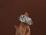 Cumpara ieftin Inel din Argint 925 , zTemplar Cross, , Banda Lata cu Simboluri Sacre E i Detalii Aurii