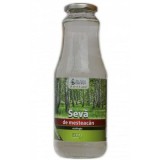 Seva de Mesteacan Bio Pura Terra Energy, 300ml, Ucraina. Fara Indulcitori, Dietetica, Detoxifiere Ficat/Rinichi